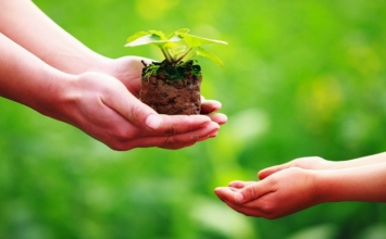 Tột cùng của luân hồi là khổ đau, tột đỉnh của Phật pháp là an lạc